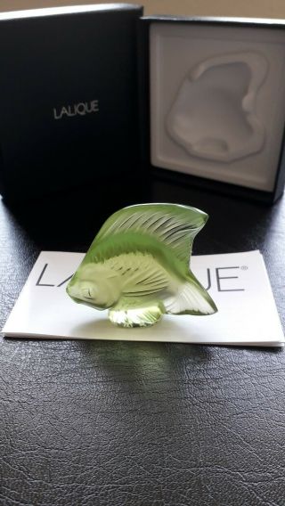 Lalique Fish,  Rare/Unusual Colour,  Anise Special,  Angel Fish.  BNIB Gift Idea 8