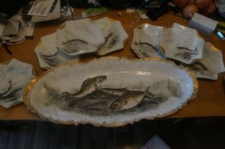 Vintage Limoges France Fish Platter W/ 8 Plates Hand - Painted H&co