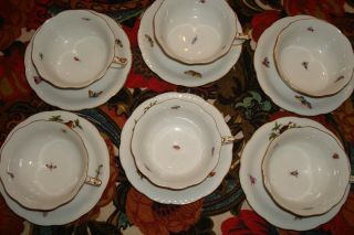 Set Of 6 Cups And Saucers Herend Rothschild Bird Pattern 734