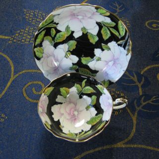 Vintage Black W/ White Floral Paragon Cup And Saucer Double Warrant - England