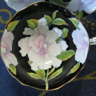 Vintage Black w/ White Floral Paragon Cup and Saucer Double Warrant - England 2
