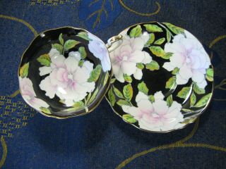 Vintage Black w/ White Floral Paragon Cup and Saucer Double Warrant - England 3