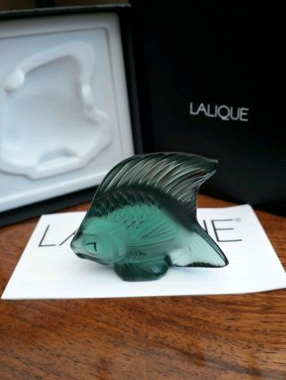 Lalique Fish,  Rare/unusual Colour,  Courlis Green Spe,  Bnib Gift Idea