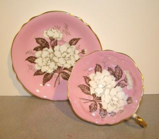 Paragon China White Gardenia On Pink Cup & Saucer