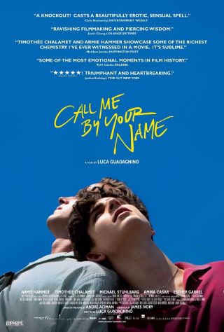 Call Me By Your Name Movie Poster Luca Guadagnino Film Print 13x20 " 24x36 " 32x48
