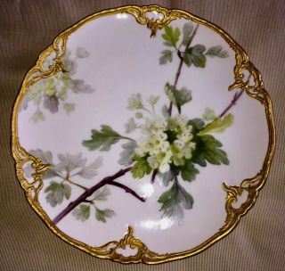 Rare Antique Kpm Berlin Art Nouveau Porcelain Floral Plate