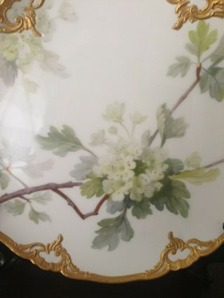 Rare Antique KPM Berlin Art Nouveau Porcelain Floral Plate 5