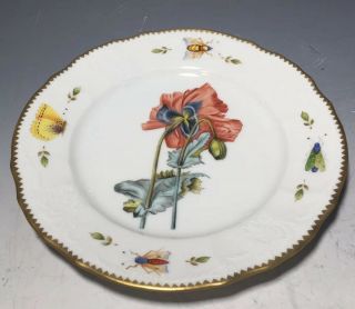 Anna Weatherley Salad Plate Insects Flowers Butterfly