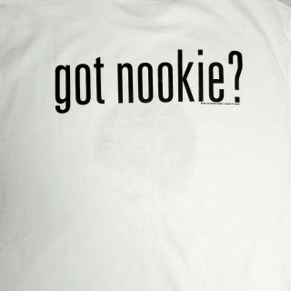 Limp Bizkit Vintage Woodstock 99 Got Nookie Authentic Concert T Shirt Never Worn 2