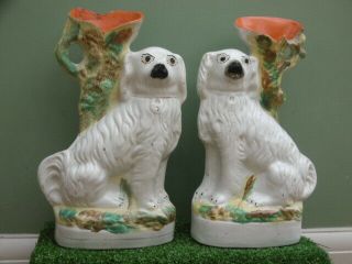 Pr 19thc Large Staffordshire White Spaniel Dogs With Spill Vase C.  1870