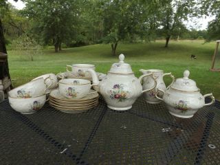 Rosenthal Sanssouci 3217 Ivory With Floral Sprays Tea Pot Cups Saucers Set