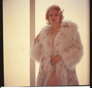 Carroll Baker Stunning Sexy Exotic Glamour Pin Up Fur Coat Transparency