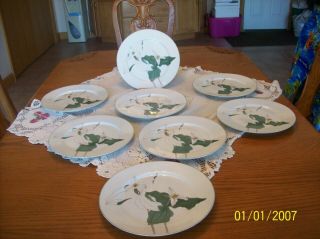 Block Spal Trillium Pattern By Mary Lou Goertzen 8 Vintage Dinner Plates