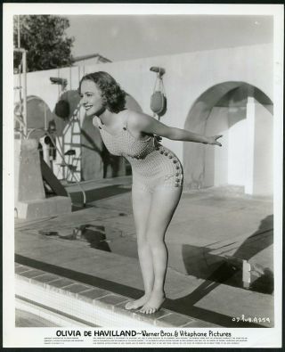 Olivia De Havilland In Bathing Suit Vtg 1930s Leggy Cheesecake Photo