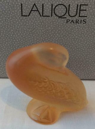 Lalique Naughty Duck - Gold - Signed Nib