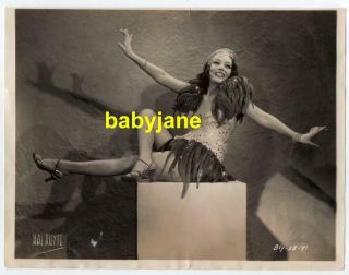 Lupe Velez 8x10 Photo By Hal Phyfe Showgirl Pinup 1933 Hot Pepper