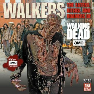 The Walking Dead Tv Series Walkers 16 Month 2020 Wall Calendar