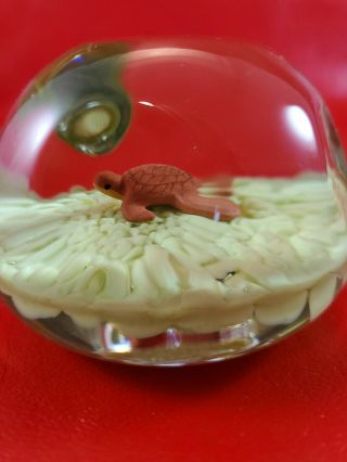 Hand Made By St Clair Turtle Paperweight