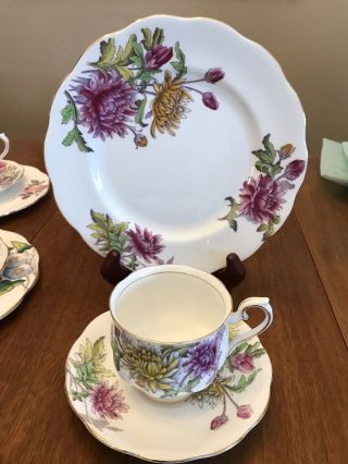 ROYAL ALBERT - FLOWER OF THE MONTH SERIES - COMPLETE SET 36 PC 5