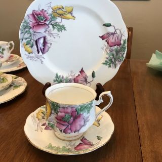 ROYAL ALBERT - FLOWER OF THE MONTH SERIES - COMPLETE SET 36 PC 7