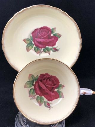 Paragon Large Signed Johnson Floating Madeira Rose Cup & Saucer