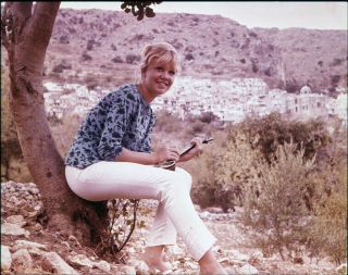 Hayley Mills Vintage Smiling Candid Photo On Location 5x4 Transparency