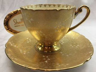 Shelley Gold Cactus Chintz Footed Ripon Cup And Saucer Gold Edging 13097