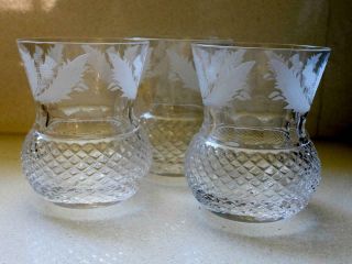 Edinburgh Crystal Glass Thistle Form Whiskey Glasses (3) - Scotland H8cm