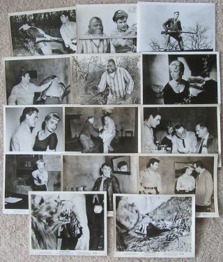 Killer Shrews 1959 Set Of 14bw Movie Stills 8x10 Vg - Ex