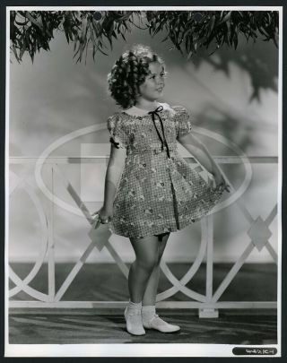 1936 20th - Fox Photo - Shirley Temple Models A Flowered Cinderella Frock