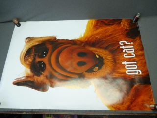 Alf Poster - Got Cat? - 36 " X 24 " -