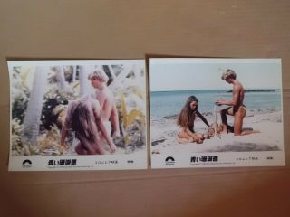 Brooke Shields The Blue Lagoon Lobby Card Set Movie Japan 24.  6x20.  0cm 1980