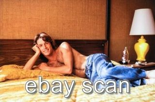 Andy Gibb Bee Gees Brother Barechested Beefcake 8x10 Photo Img329