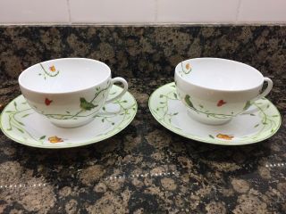 RAYNAUD Histoire Naturelle Wing Song Breakfast Cup & Saucer Set of 2 3