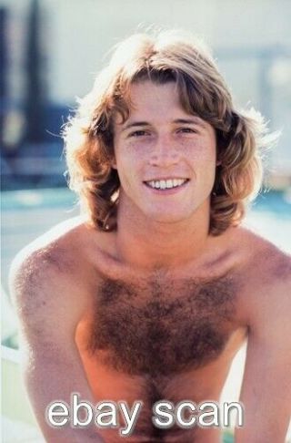 Andy Gibb Bee Gees Brother Barechested Beefcake 8x10 Photo Img576