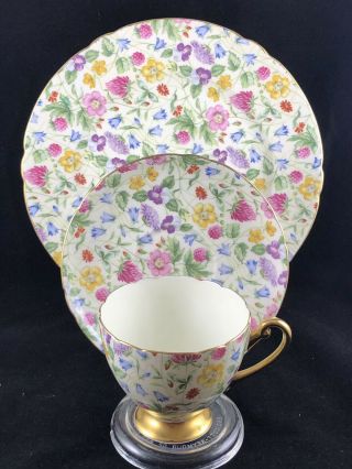 Shelley Countryside Chintz Full Size Ripon Trio Cup Saucer And 8” Plate