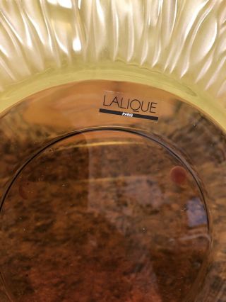 LALIQUE Crystal France WATER LILY Charger Platter Candle Plate Amber Brown Green 6