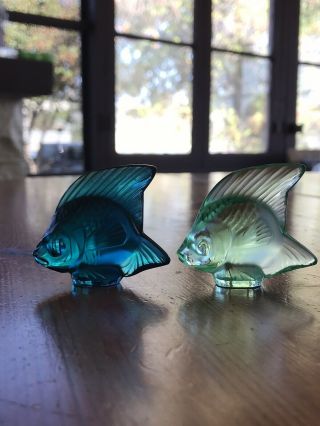 Lalique Crystal Colored Fish Turquoise 3000500 Green 3001900