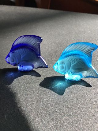 Lalique Crystal Colored Fish Light Blue 3000200 Sapphire 30003