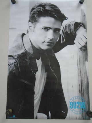 90210 - Jason Priestly - Orig.  Vintage Poster 1978 - Exc, .  Cond.  / 23 X 35 "