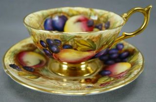 Aynsley D Jones / N Brunt Orchard Fruit Gold / Yellow Interior Tea Cup & Saucer