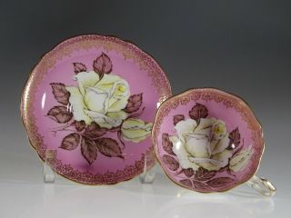 Paragon Pink With Large White Cabbage Roses Tea Cup And Saucer,  England C.  1939