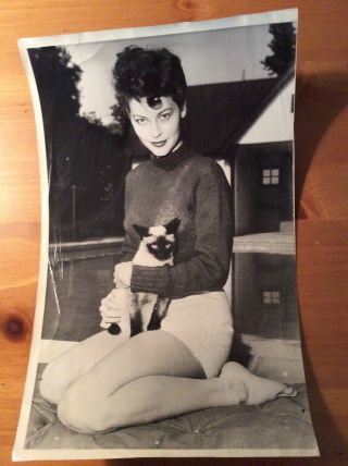 Ava Gardner Publicity Photo 1946 Stamped