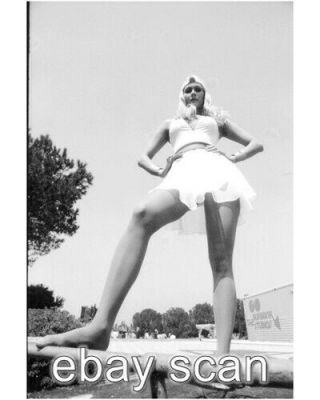 Lynda Carter Wonder Woman Leggy Cheesecake 8x10 Photo 184