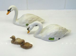 Beswick Ware Swan and Cygnet family Swans Head Up and Down Cgynet Left and Right 2
