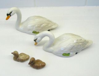 Beswick Ware Swan and Cygnet family Swans Head Up and Down Cgynet Left and Right 5