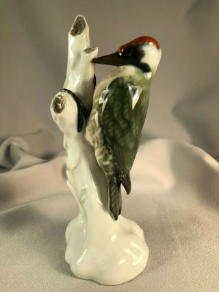Rosenthal Germany Porcelain Figurine Of A Woodpecker Bird,  6 3/4 ",  1930 