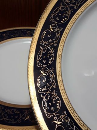 6 " Sydney " Cobalt Blue/gold Dinner Plates Czech Bohemian Porcelain Thun Carlsbad