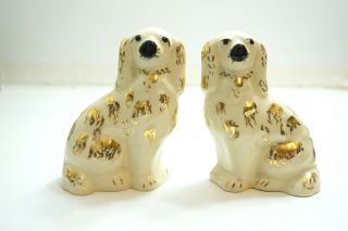 Vintage Staffordshire 5 " Gold And White Spaniel Dogs Left Right