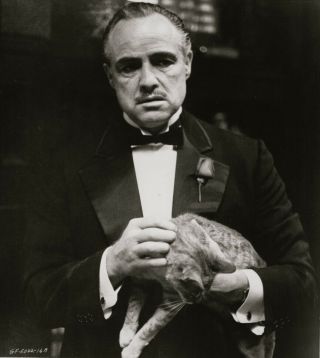 Marlon Brando Holding A Cat Orig 1972 Scene Portrait.  The Godfather